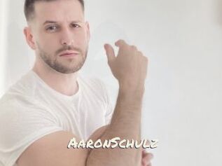 AaronSchulz