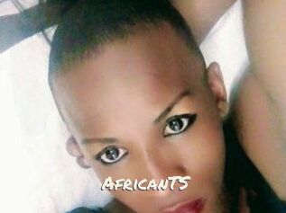 AfricanTS