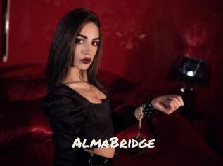 AlmaBridge