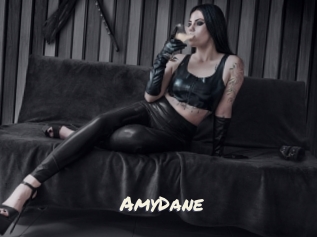 AmyDane