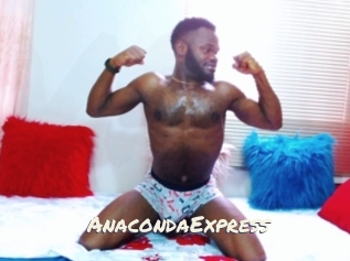 AnacondaExpress