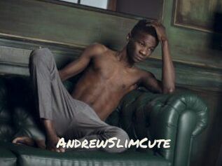 AndrewSlimCute