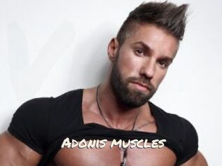 Adonis_muscles