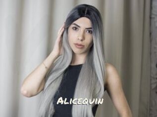 Alicequin