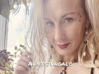 Alicesjungalo