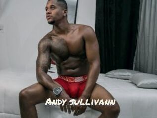 Andy_sullivann