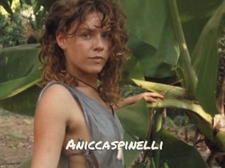 Aniccaspinelli