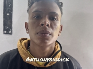 Anthonybigdick