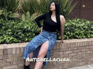 Antonellachan