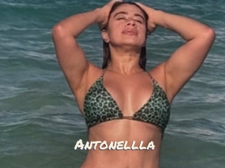 Antonellla