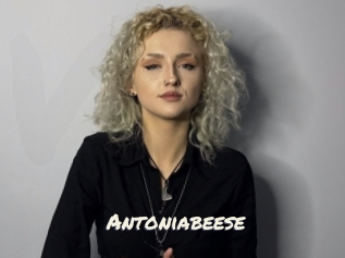 Antoniabeese