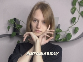 Antoniabiddy