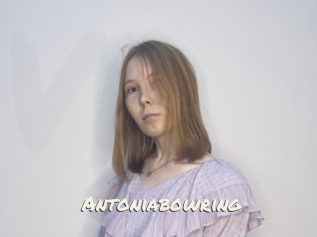 Antoniabowring