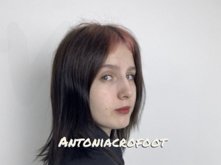 Antoniacrofoot