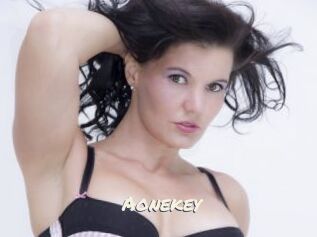 Aonekey