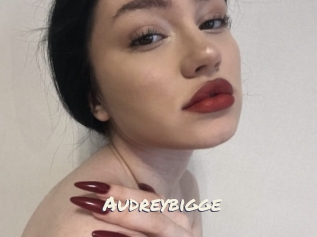 Audreybigge