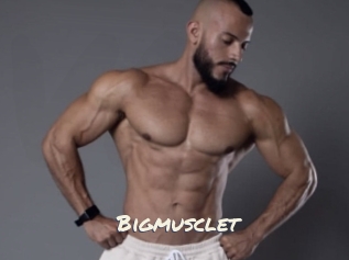 Bigmusclet