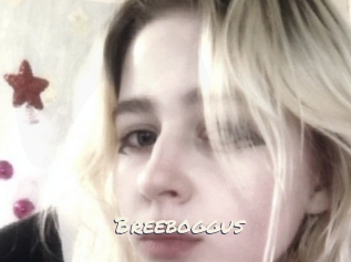 Breeboggus