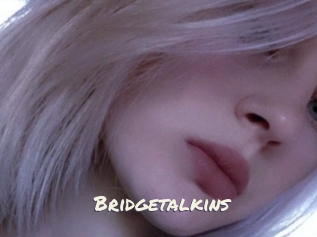 Bridgetalkins