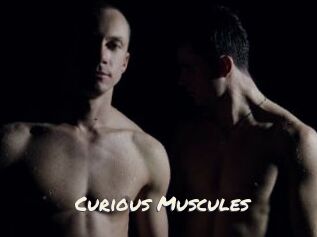 Curious_Muscules