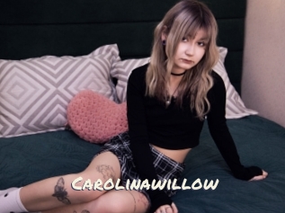 Carolinawillow