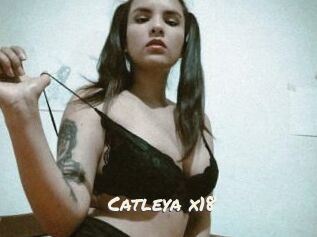 Catleya_x18