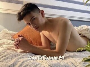 DavidTwinkM