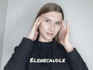 Elenecaudle