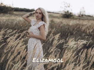 Elizamool