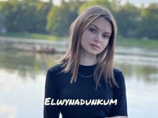 Elwynadunkum