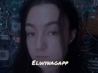 Elwynagapp