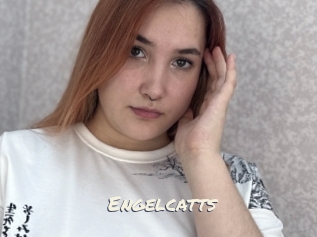 Engelcatts