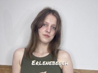 Erlenebeech