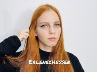 Erlenechesser