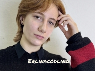 Erlinacodling