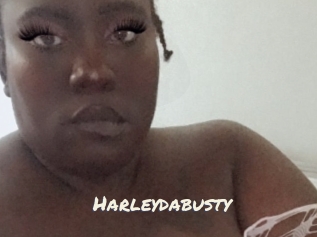 Harleydabusty