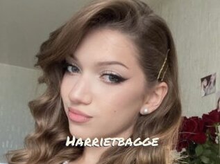 Harrietbagge