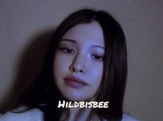 Hildbisbee