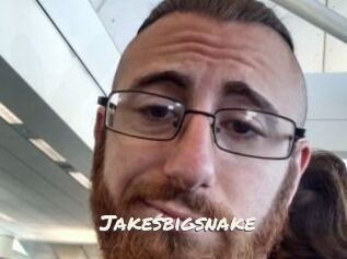 Jakesbigsnake