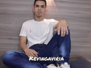 Kevingaviria