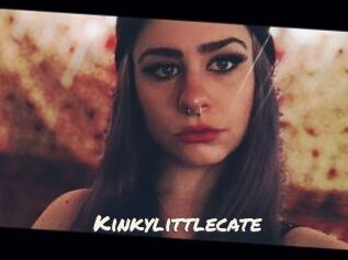 Kinkylittlecate