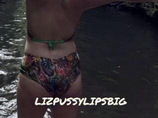 LIZPUSSYLIPSBIG