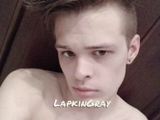 LapkinGray