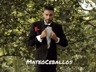 MateoCeballos