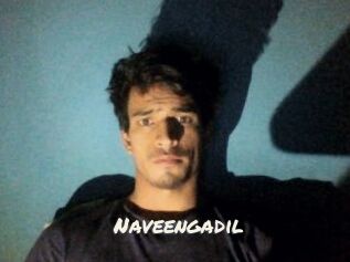 Naveengadil