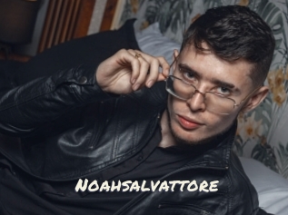 Noahsalvattore