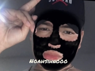 Noahsihnooo