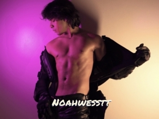 Noahwesstt