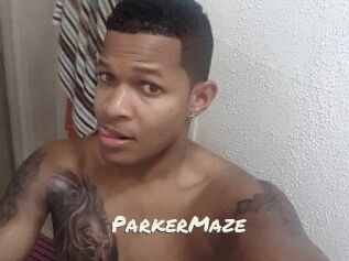 Parker_Maze