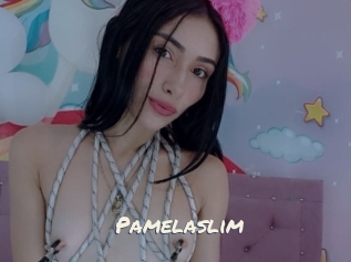 Pamelaslim